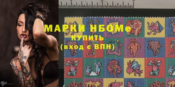 шишки Слюдянка