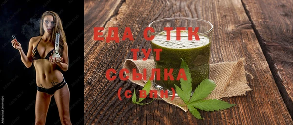 шишки Слюдянка